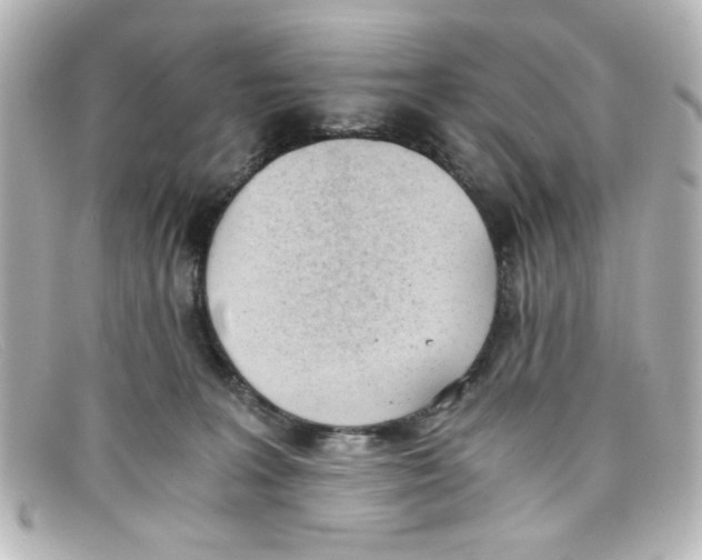 X0000098140227200805081027