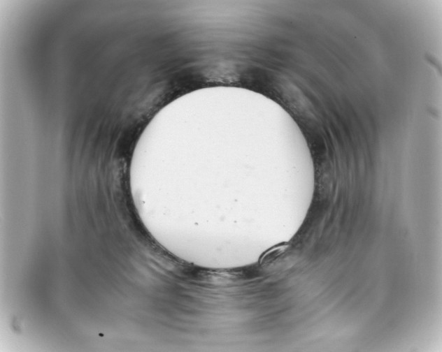 X0000098140229200805081027