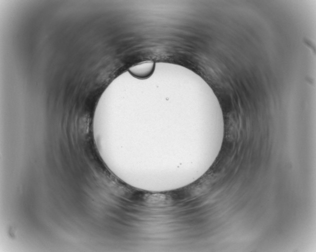 X0000098140230200805081027