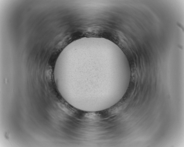 X0000098140231200805081027