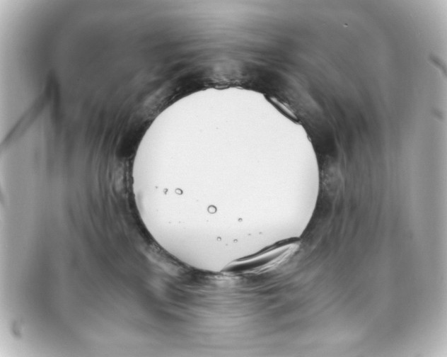 X0000098140233200805081027