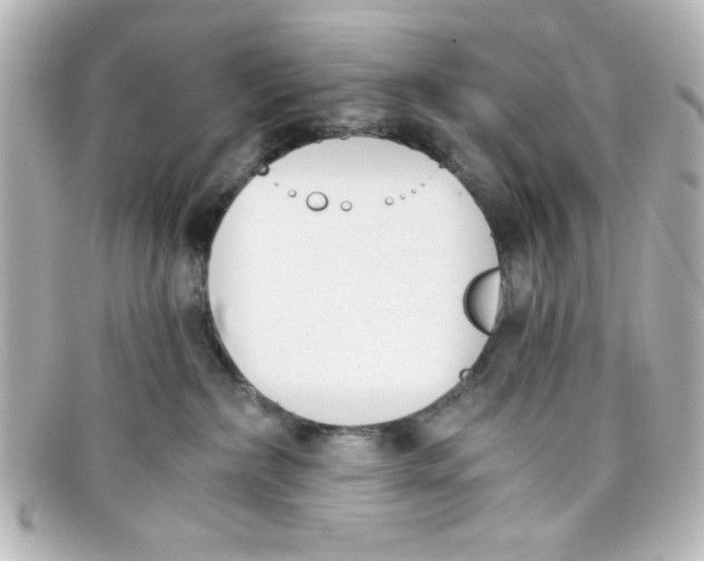 X0000098140236200805081027