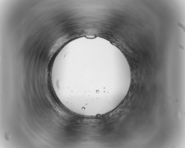 X0000098140242200805081026