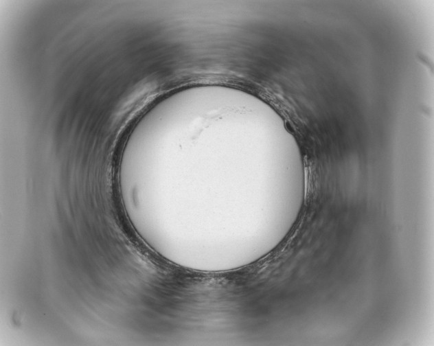 X0000098140243200805081026