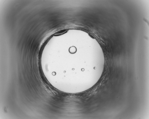 X0000098140244200805081026