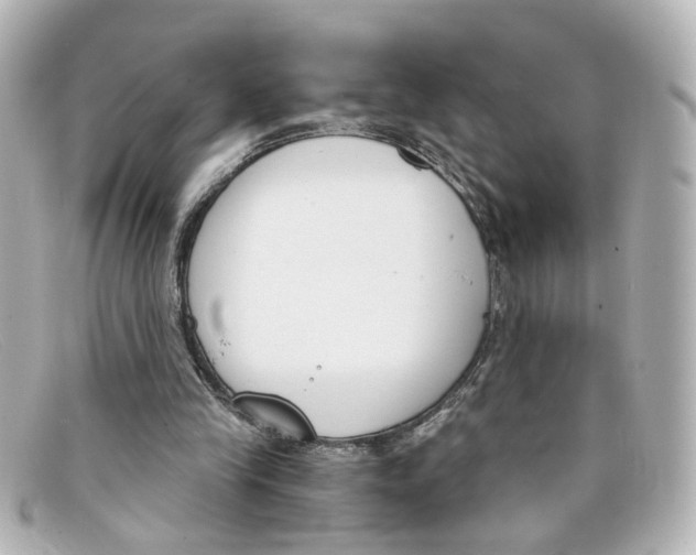 X0000098140245200805081026