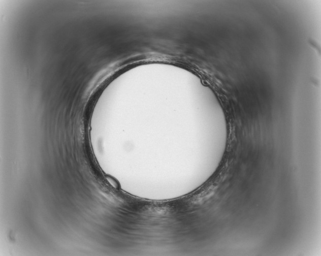 X0000098140247200805081026