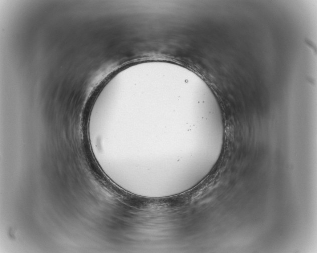 X0000098140248200805081026