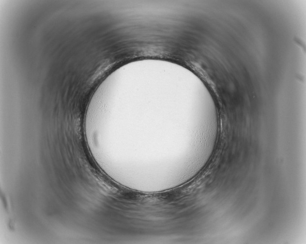 X0000098140249200805081026