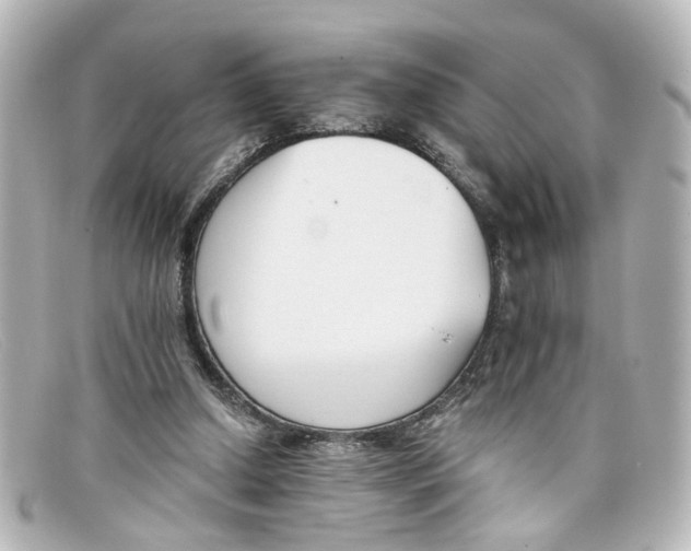 X0000098140250200805081026