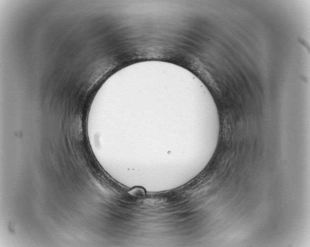 X0000098140251200805081026