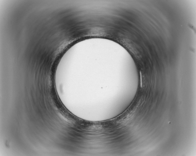 X0000098140252200805081026