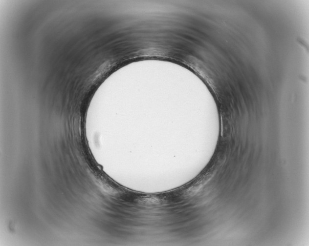 X0000098140253200805081026