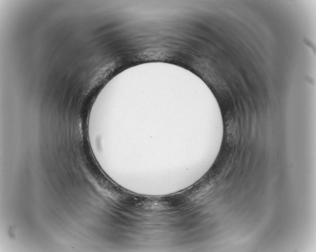 X0000098140254200805081026