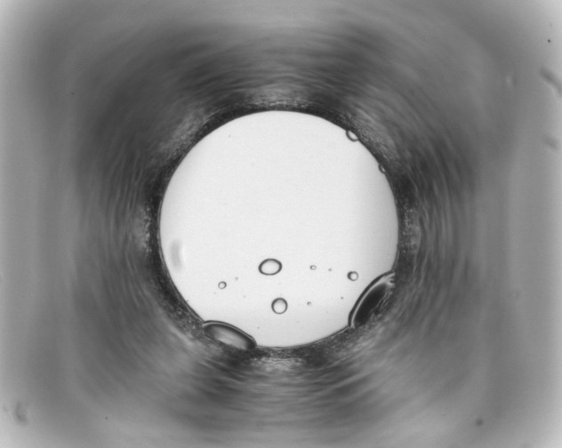 X0000098140255200805081026