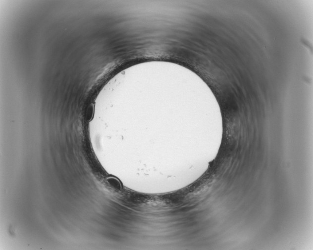 X0000098140256200805081026