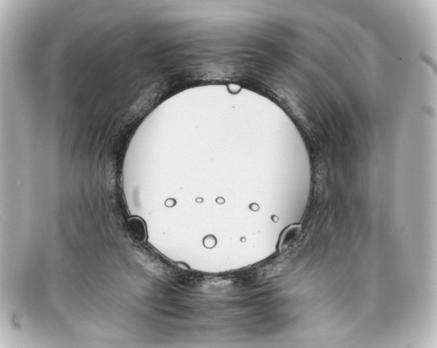 X0000098140257200805081026