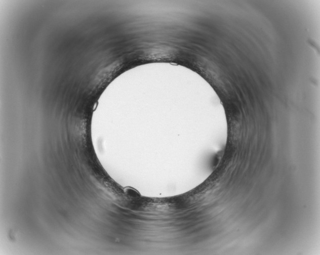 X0000098140260200805081026