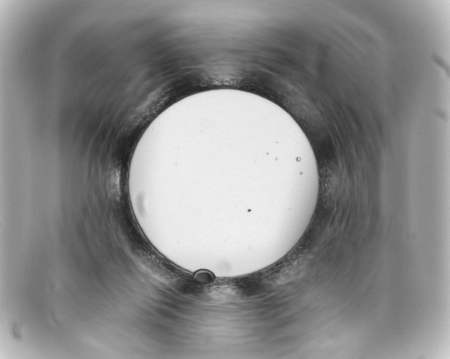 X0000098140262200805081026