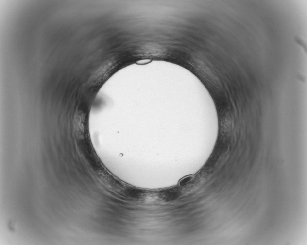 X0000098140264200805081026