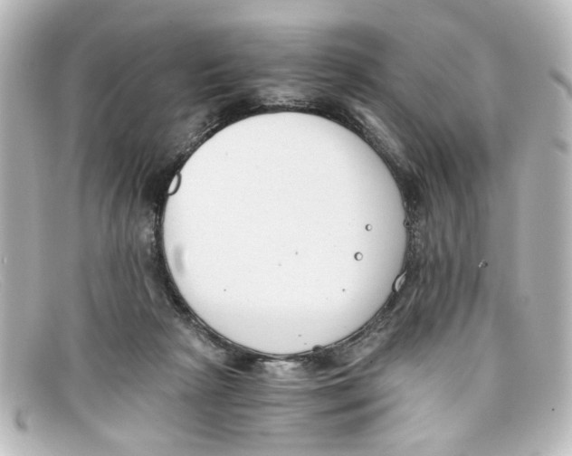 X0000098140265200805081026