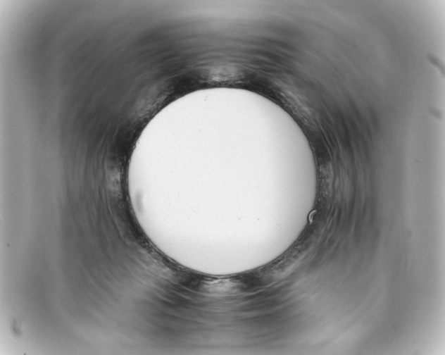 X0000098140269200805081026