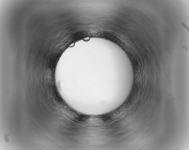 X0000098140270200805081026