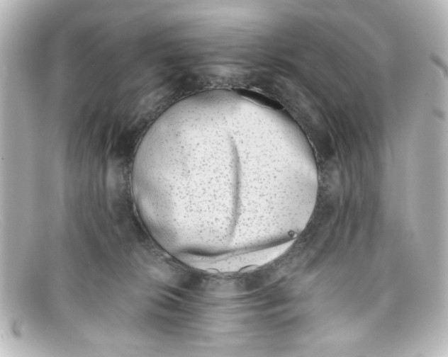 X0000098140276200805081027