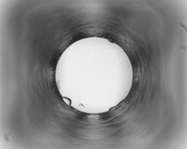 X0000098140279200805081027