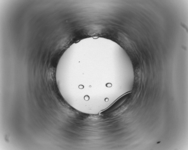 X0000098140280200805081027