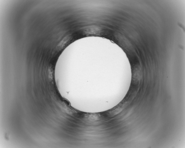 X0000098140282200805081027