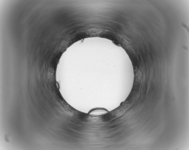 X0000098140283200805081027