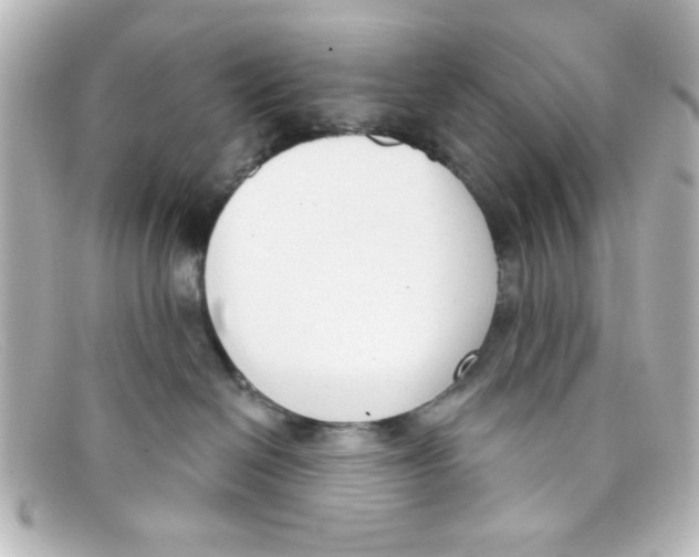 X0000098140286200805081027