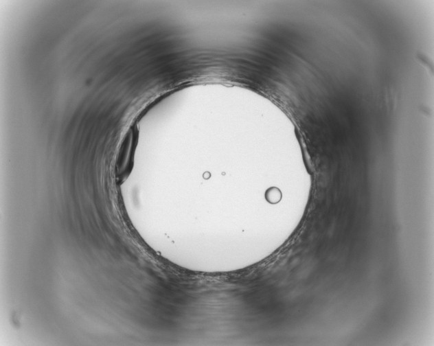 X0000098140289200805081026