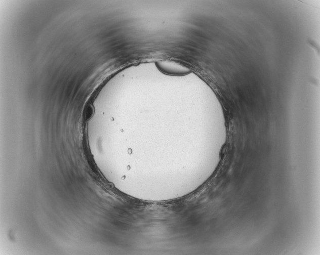 X0000098140290200805081026