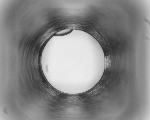 X0000098140291200805081026