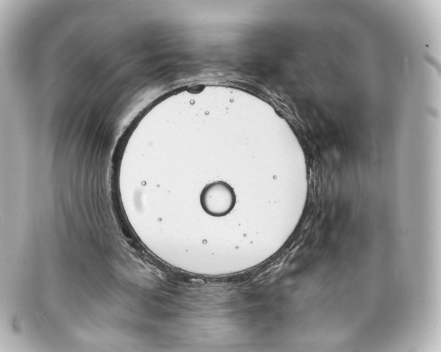 X0000098140292200805081026