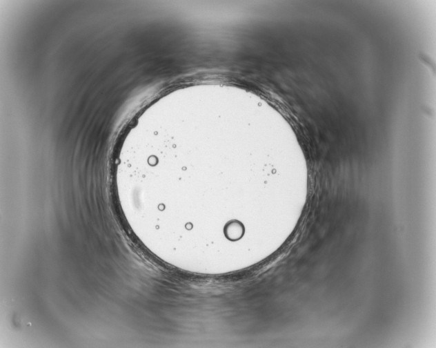 X0000098140293200805081026