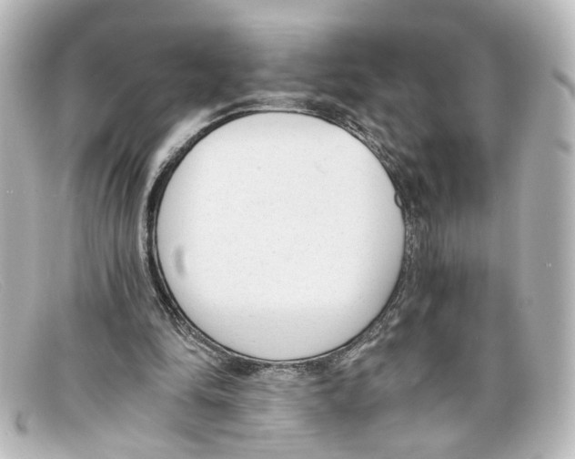 X0000098140294200805081026