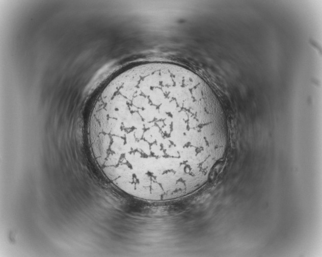 X0000098140295200805081026