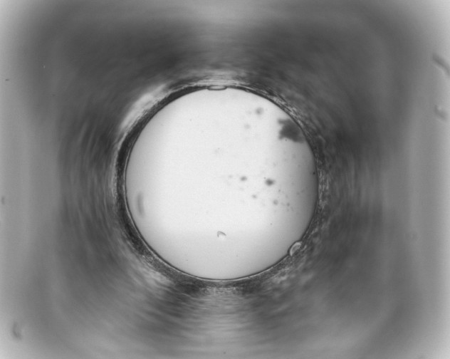 X0000098140296200805081026