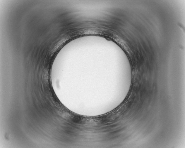 X0000098140297200805081026