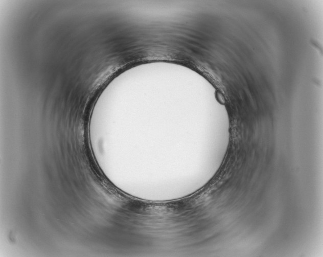 X0000098140298200805081026