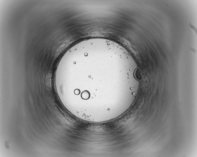 X0000098140299200805081026