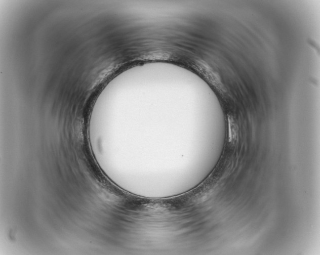 X0000098140300200805081026