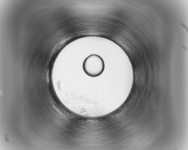 X0000098140302200805081026