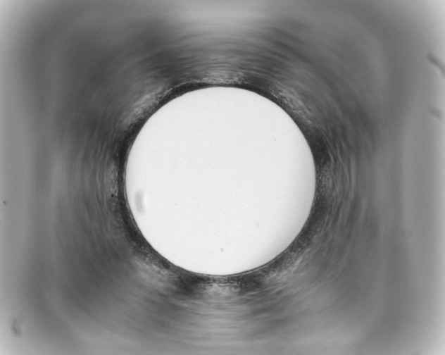 X0000098140303200805081026