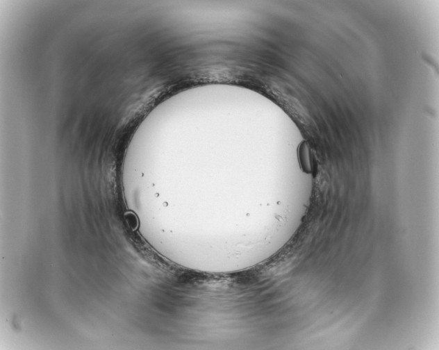 X0000098140306200805081026