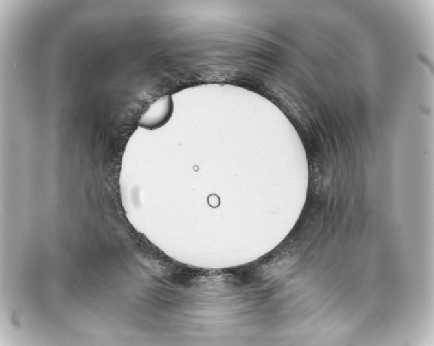 X0000098140307200805081026