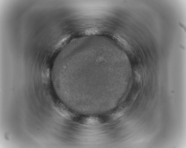 X0000098140308200805081026